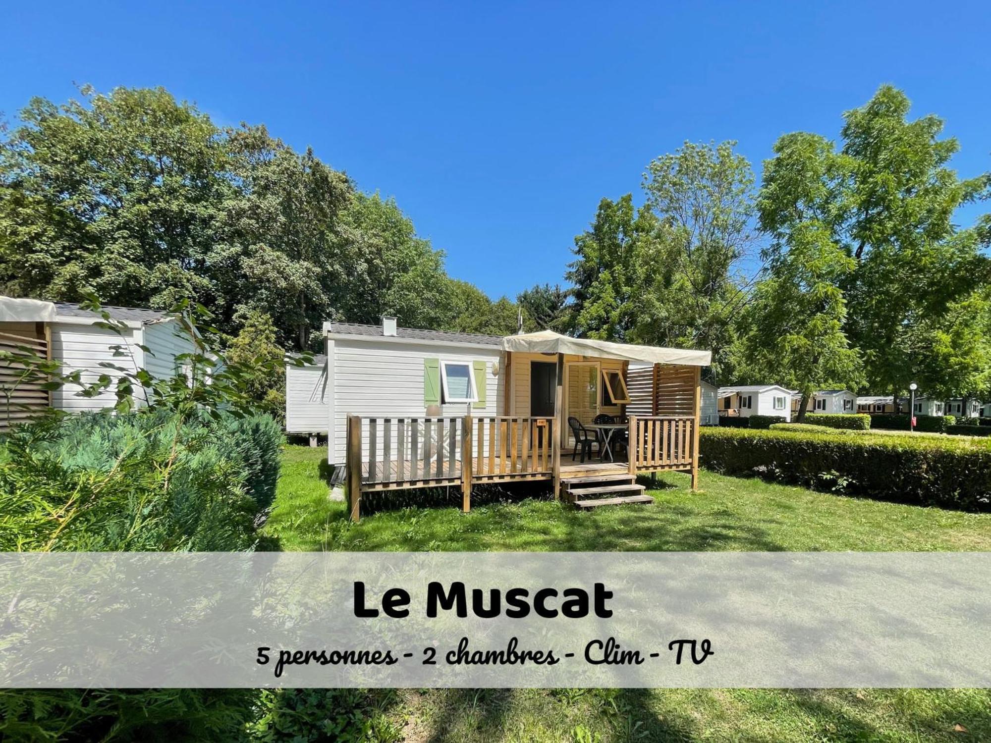 Le Muscat - Bungalow Pour 5 - Tv - Clim Boofzheim Oda fotoğraf